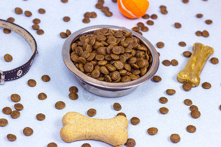 狗吃骨頭與寵物食品 科學的飼養(yǎng)選擇