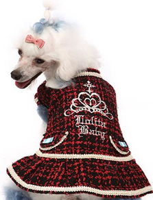 批發(fā)供應(yīng)寵物食品 消化潔齒骨，1包起批，廠家直供，帶圖片詳情