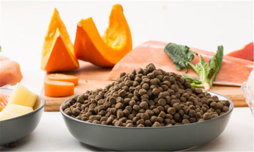 豆柴完成數(shù)千萬元A輪融資，金鼎資本領(lǐng)投，加速寵物食品市場布局