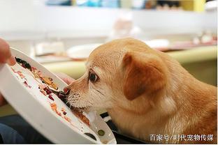 寵物食品行業(yè)的主流銷售模式解析